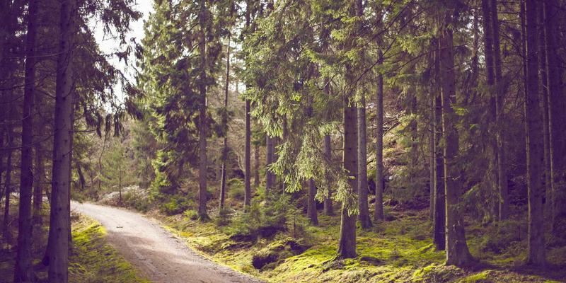 IT支持、技术支持与网站维护：构建高效网络服务的三大支柱