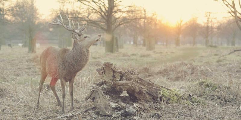 WJHFKS与系统集成：网络服务进阶的关键路径