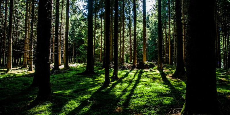 WJHFKS技术支持下的IPv6规模化部署：系统集成如何应对挑战与升级策略