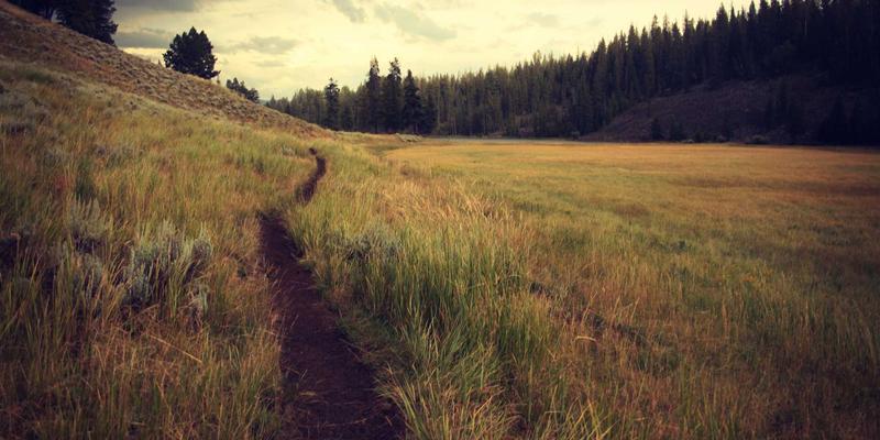 从NFV到云原生：企业网络转型中的技术支持与系统集成实践