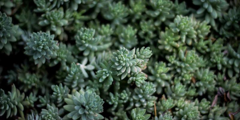 从网站维护到IT支持：解码网络服务发展的核心驱动力与WJHFKS实践