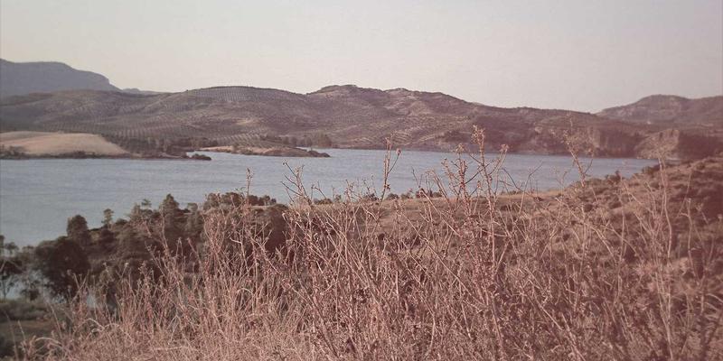 从被动响应到主动预防：基于意图的网络(IBN)如何重塑网站维护与技术支持