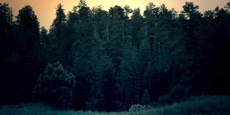 故障排除与网络服务优化：企业级技术支持如何保障业务连续性