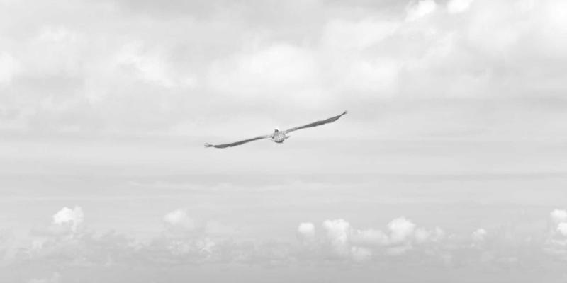 构建未来安全防线：零信任网络架构在现代企业网络服务中的实施路径与挑战