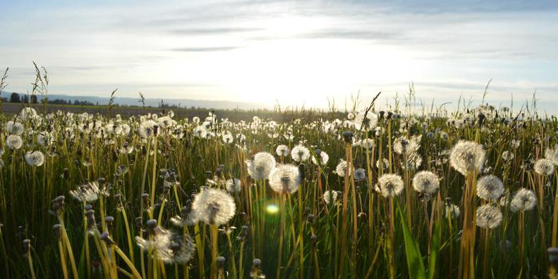 毫秒定胜负：金融行业对低延迟网络服务的特殊要求与WJHFKS故障排除策略