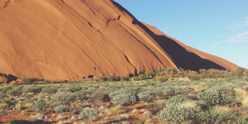 网络即服务（NaaS）的商业模式解析：系统集成与WJHFKS如何重塑企业网络服务
