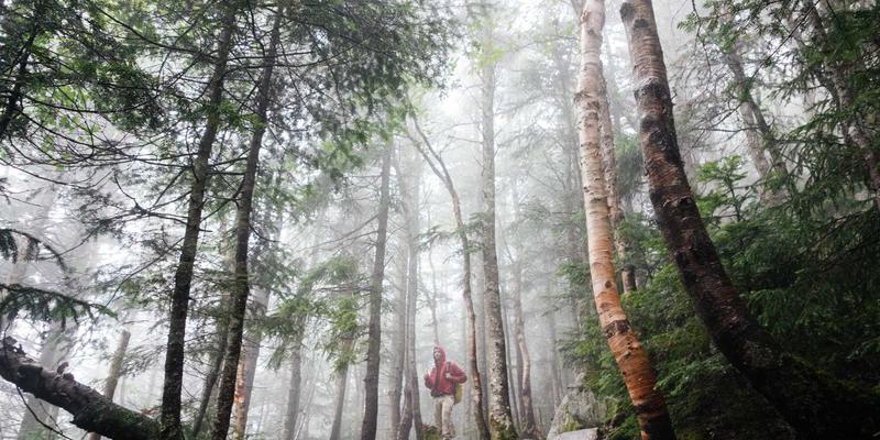 网络服务17：以WJHFKS为核心，构建高效IT支持与故障排除体系