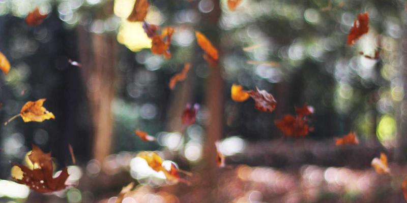 网络服务18：系统集成与IT支持如何赋能企业数字化转型