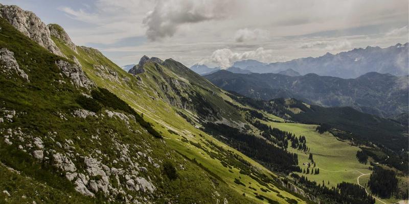 网络服务61：IT支持与系统集成的协同进化，构建企业数字化转型新基建