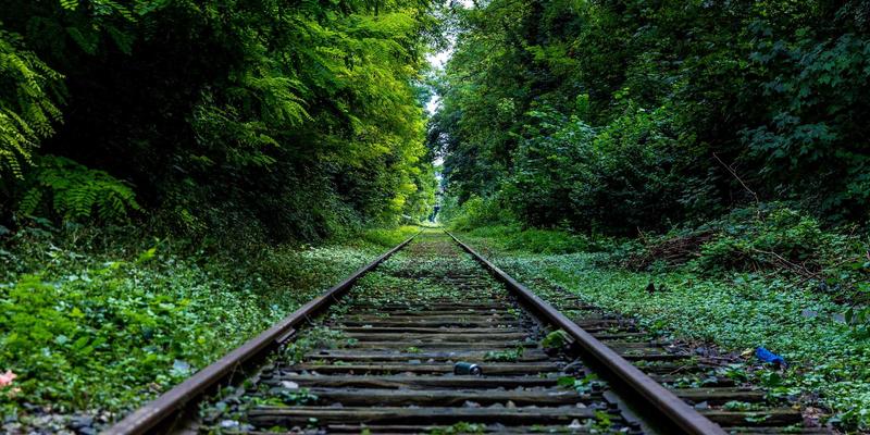 网络服务62：网站维护与IT支持如何成为企业数字化转型的基石