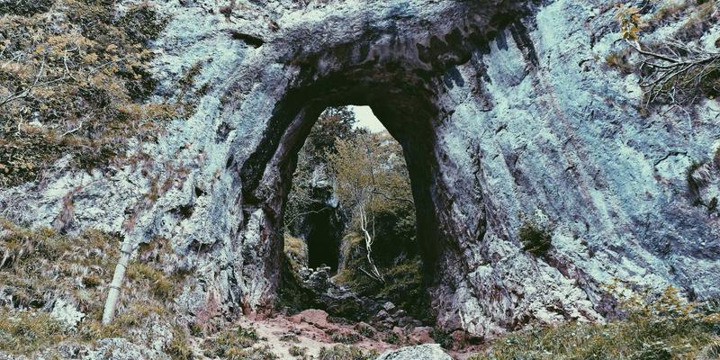 网络服务71：高效故障排除与专业IT支持的关键策略