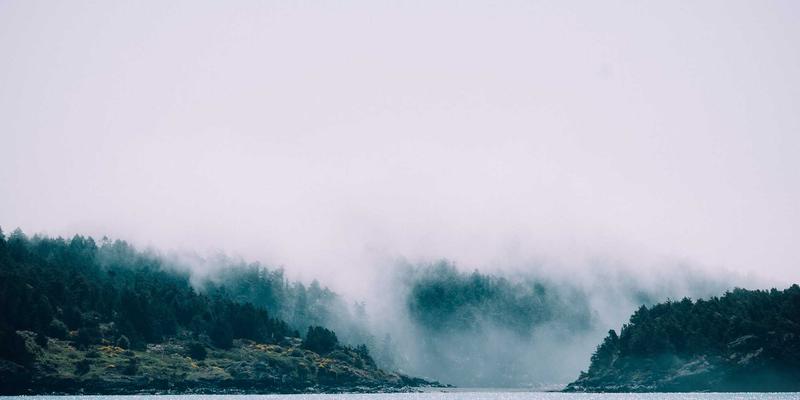 网络服务82：系统集成、网站维护与故障排除的协同之道