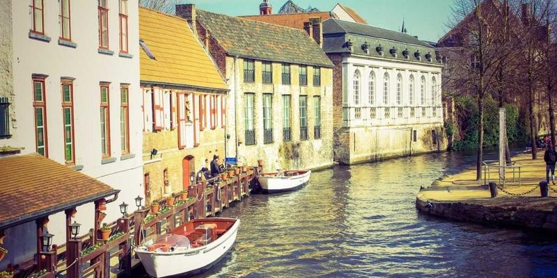 网络服务入门：从WJHFKS到系统集成的核心解析