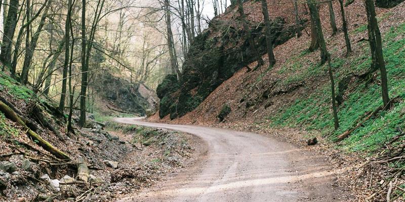 网络服务全解析：IT支持与网站维护如何驱动企业数字化转型