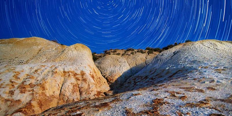 网络服务评测指南：技术支持、故障排除与网站维护如何影响业务成败
