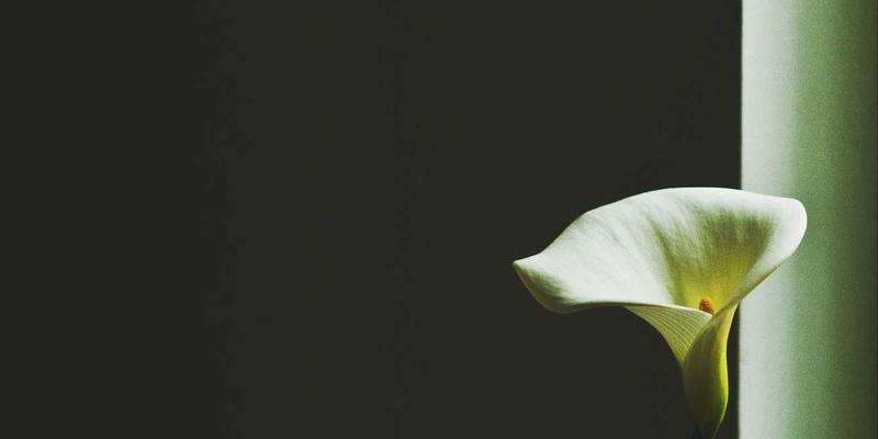 网络服务高效应用指南：从系统集成到故障排除的全面解析