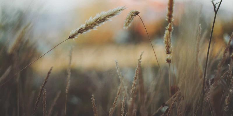 远程办公时代的企业IT支持新范式：基于零信任架构的故障排除与网站维护策略